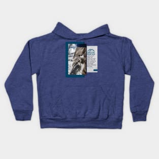 Cadillac Mountain Kids Hoodie